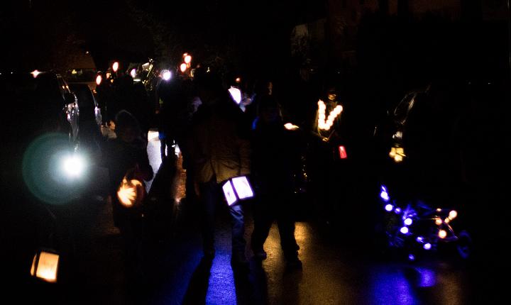 Bild: 20231111-184949.jpg